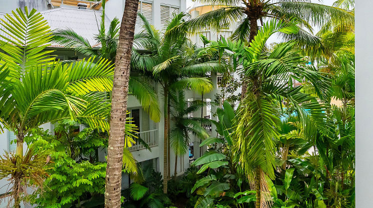 Cairns Beach Studio Beach Club