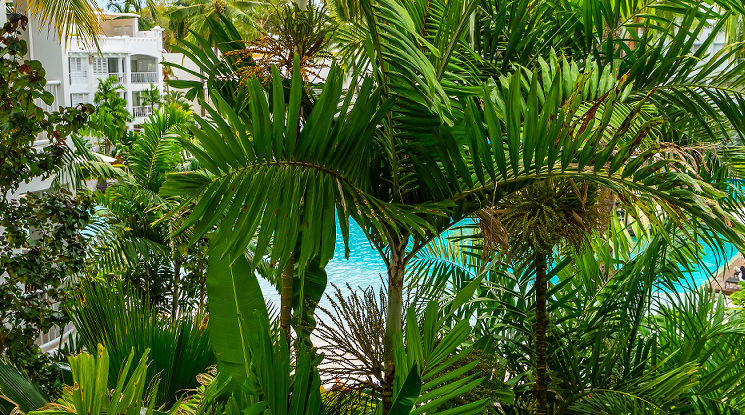 Cairns Beach accommodation