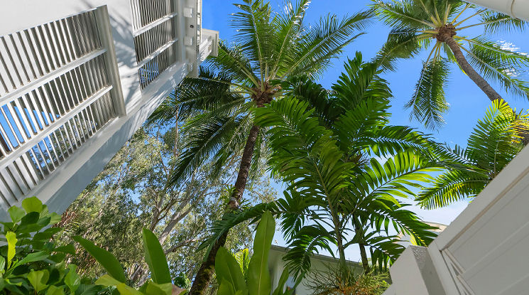 Cairns Beach Studio Beach Club